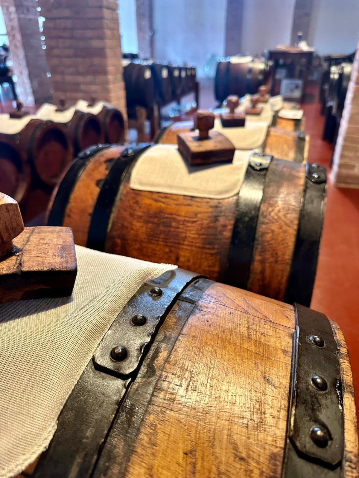 La Corte Dei Sogni B&B Modena Bagian luar foto