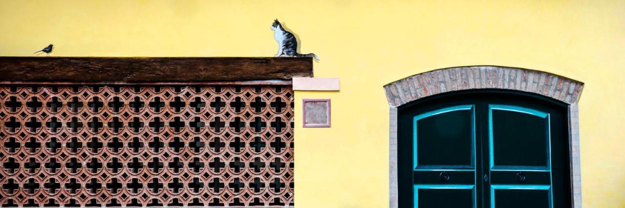 La Corte Dei Sogni B&B Modena Bagian luar foto
